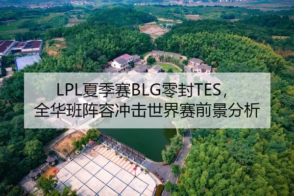 LPL夏季赛BLG零封TES，全华班阵容冲击世界赛前景分析