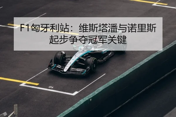 xiong-ya-li-zhan-wei-si-ta-pan-yu-nuo-li-si-qi-bu-zheng-duo-guan-jun-guan-jian-3-370.jpg