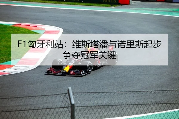 F1匈牙利站：维斯塔潘与诺里斯起步争夺冠军关键
