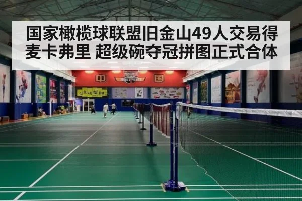 国家橄榄球联盟旧金山49人交易得麦卡弗里 超级碗夺冠拼图正式合体